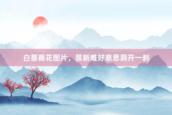 白蔷薇花图片，簇新唯好意思洞开一刹