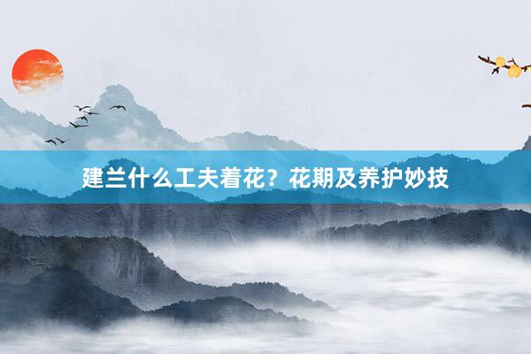 建兰什么工夫着花？花期及养护妙技