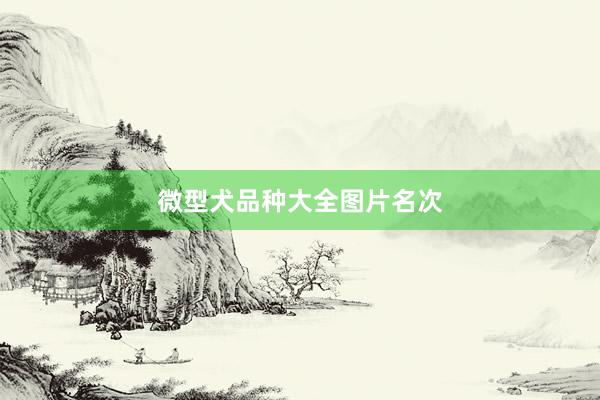 微型犬品种大全图片名次
