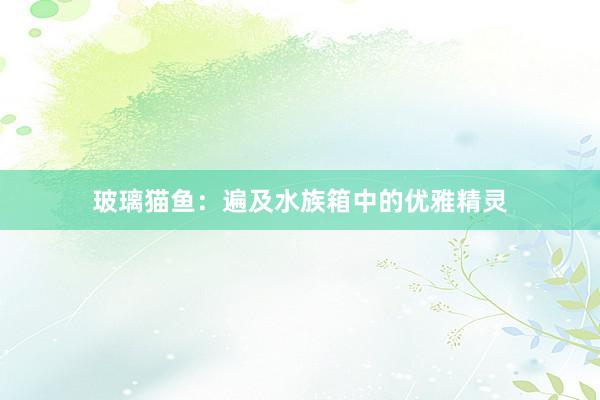 玻璃猫鱼：遍及水族箱中的优雅精灵